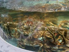 -徐记海鲜·宴会(大唐西市|丰庆店)
