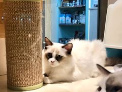 -证大大拇指广场(芳甸路店)