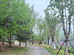 -元大都城垣遗址公园