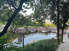 -北京西山国家森林公园