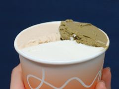 -Dip in Gelato(富民路店)