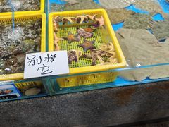 -石塘路海鲜市场(草厂中路店)