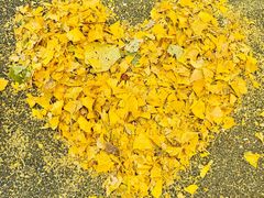 -辽宁大学(崇山校区)