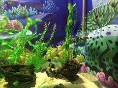 -梦幻海洋王国(吾悦广场张家港店)