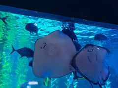 -常州海昌海洋探索馆