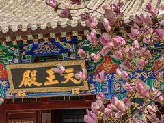 -护国法轮寺
