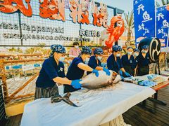 -三亚海昌梦幻海洋不夜城