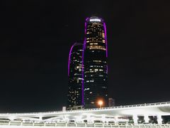 -演武大桥观景平台