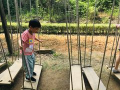 -金钉子远古世界景区