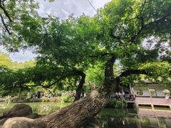 -惠山古镇·寄畅园