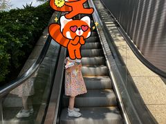 -美罗城