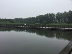 -溱湖国家湿地公园