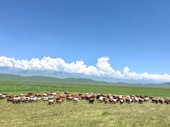 -新疆那拉提国家旅游度假区