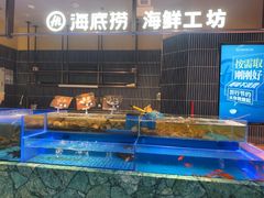 -海底捞火锅(长宁路龙之梦店)
