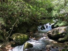 -神农架香溪源景区