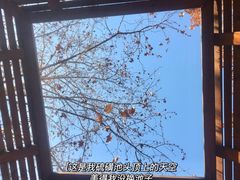 -春晖园度假酒店温泉