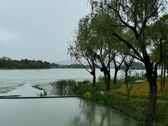 -渤公岛生态公园