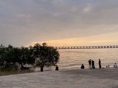 -宝安西湾红树林湿地公园