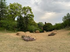-南山植物园