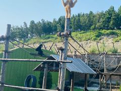 -大连森林动物园