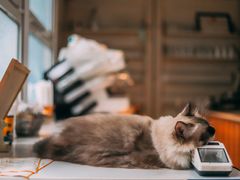 -灯塔咖啡馆BOOK·Coffee Shop