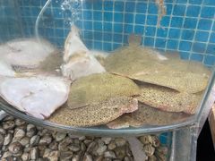 -仙螺岛海鲜自助餐厅(总店)