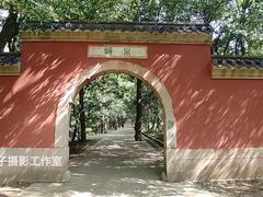 -灵谷景区