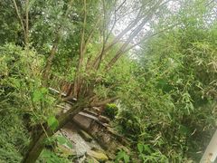 -帐篷客·溪龙茶谷度假酒店