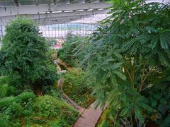 -丽江植物园