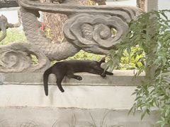 -杭州黄龙洞