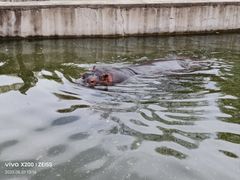 -哈尔滨北方森林动物园