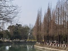 -蜀绣公园