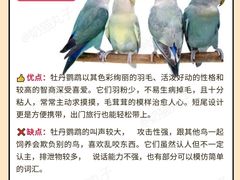 -爱侣宠医·鹦鹉专科·小型哺乳类·异宠专科(灵石路店)