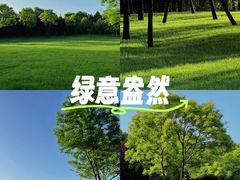 -北坞公园