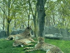 -北京野生动物园