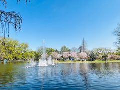 -上海共青森林公园