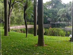 -晓港公园