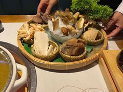 -菌彩云南野生菌火锅(呈贡七彩云南第壹城店)