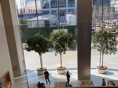 -Apple零售店(苏州店)