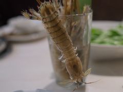 鲜活竹签虾-围炉夜话·潮汕卤水火锅(榕江店)