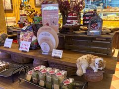 -乡田小墅(展览馆路JK FUN商城店)