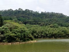 -滴水岩森林公园