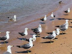 -海驴岛(荣成市)