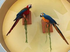 -陕西自然博物馆