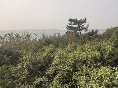-狼山风景名胜区