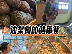 -油梨树AVOCADO TREE(望京店)