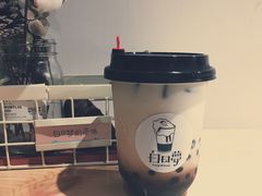 -白日梦奶茶