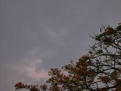 -白石龙音乐公园