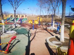 -大兴滨河森林公园