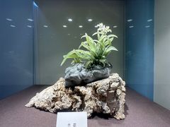 -大连自然博物馆